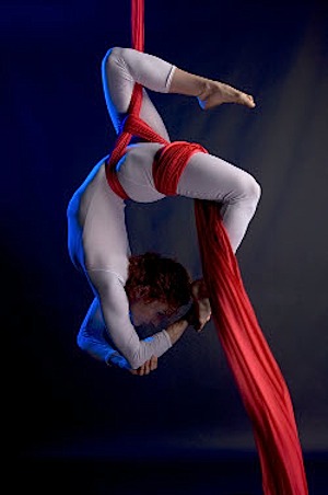 pic1.jpg