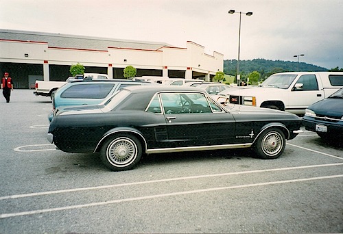 Mustang 3.jpeg