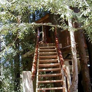 The Second Treehouse
