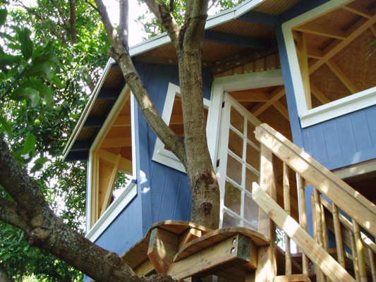 Treehouse03