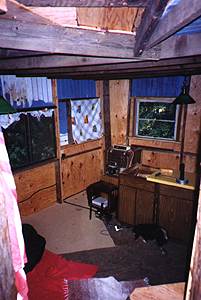  of the treehouse