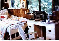 A picture of the treehouse...