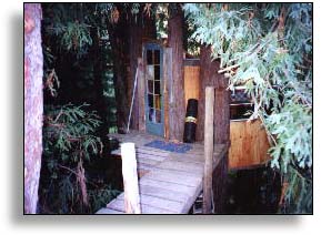 A picture of the treehouse as seen from the front at Corbin's House