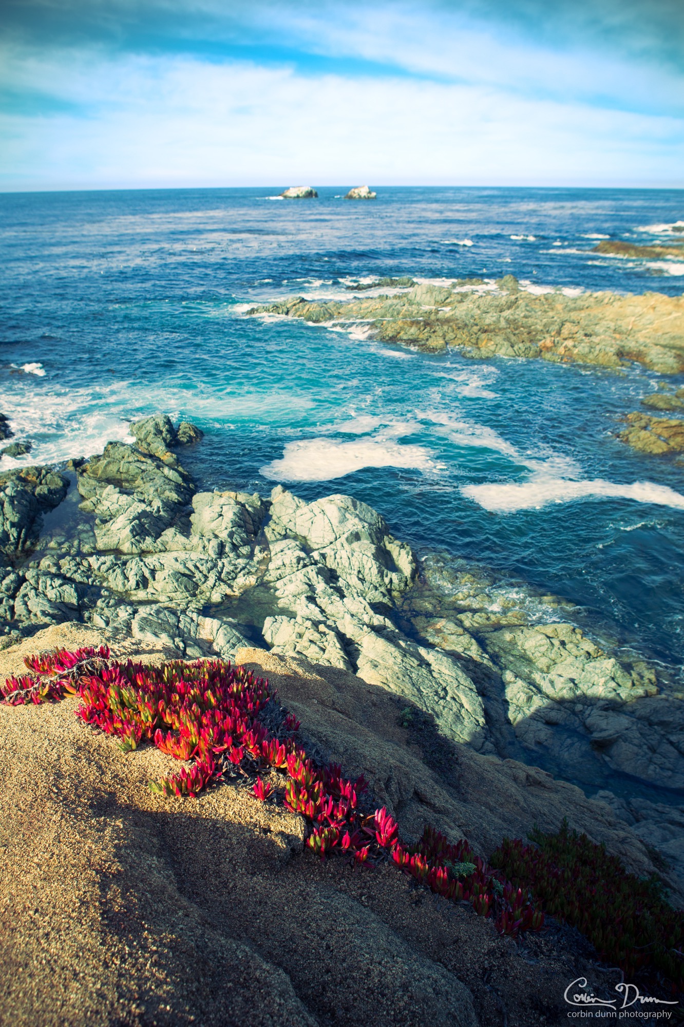 Big Sur Photography