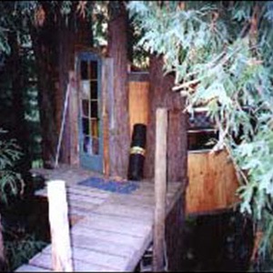 The First Treehouse