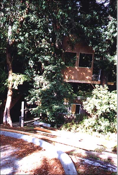 Treehouse29