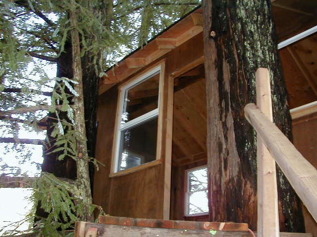 Treehouse door2