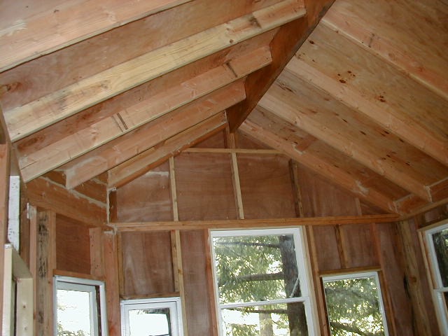 Treehouse looking at roof