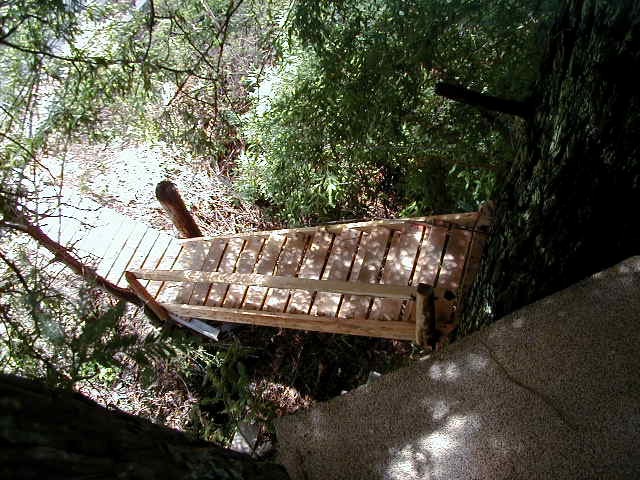 Treehouse looking at stairs