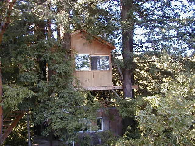 Treehouse outside