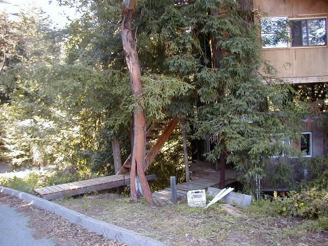 Treehouse outside 2