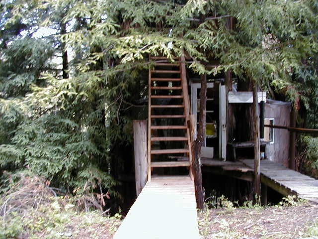 Treehouse stairs