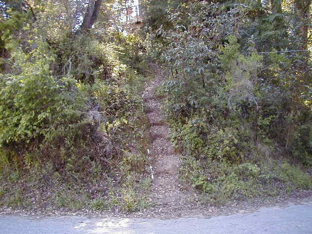 Treehouse walkway
