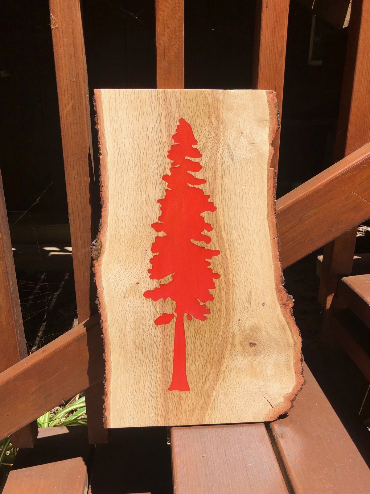 Redwood tree engraved