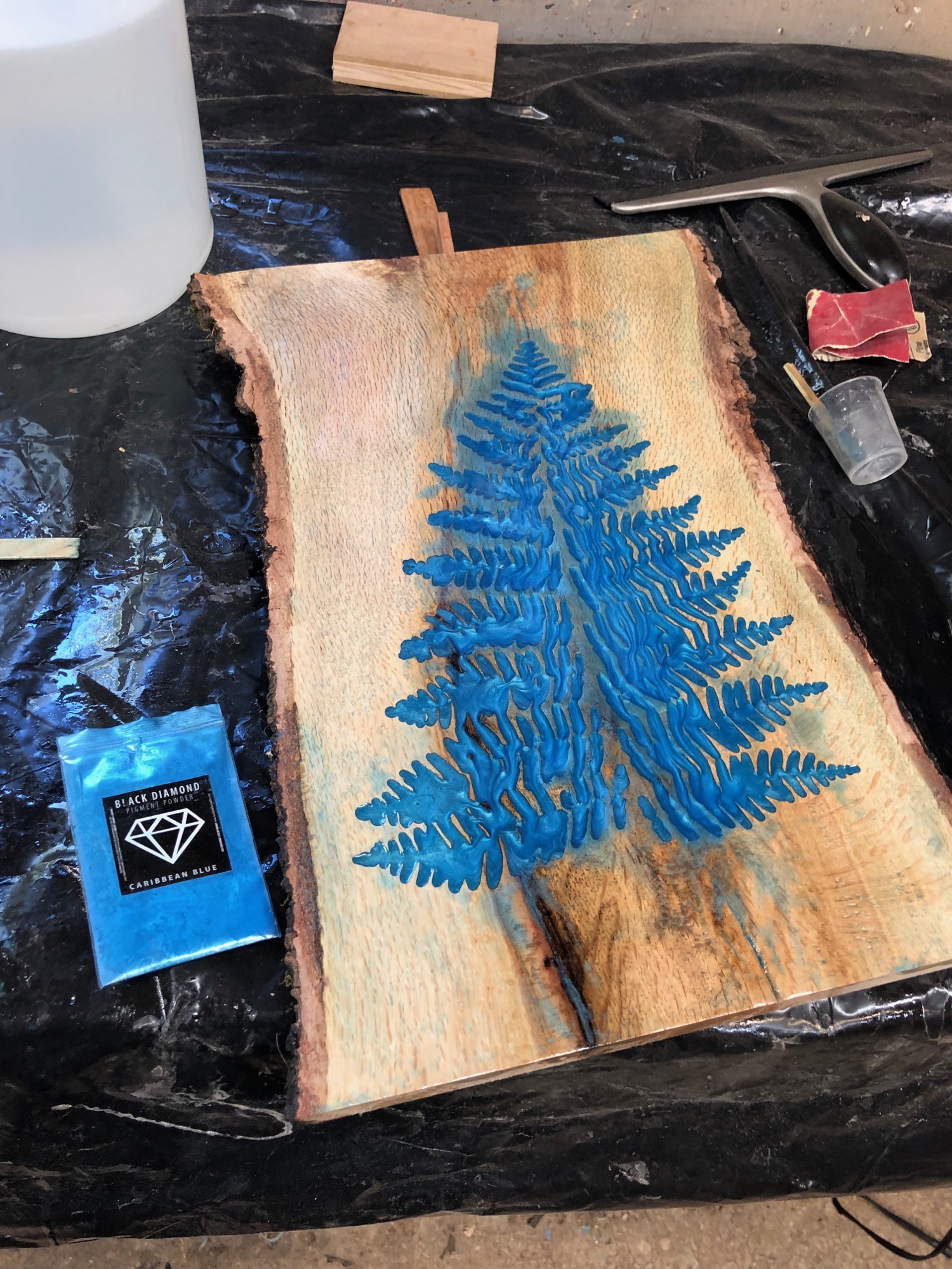 epoxy fern art