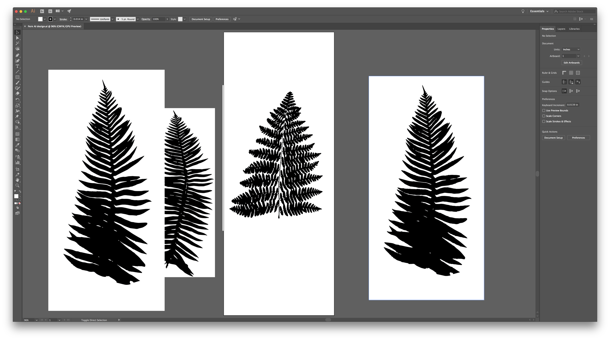 Ferns illustrator