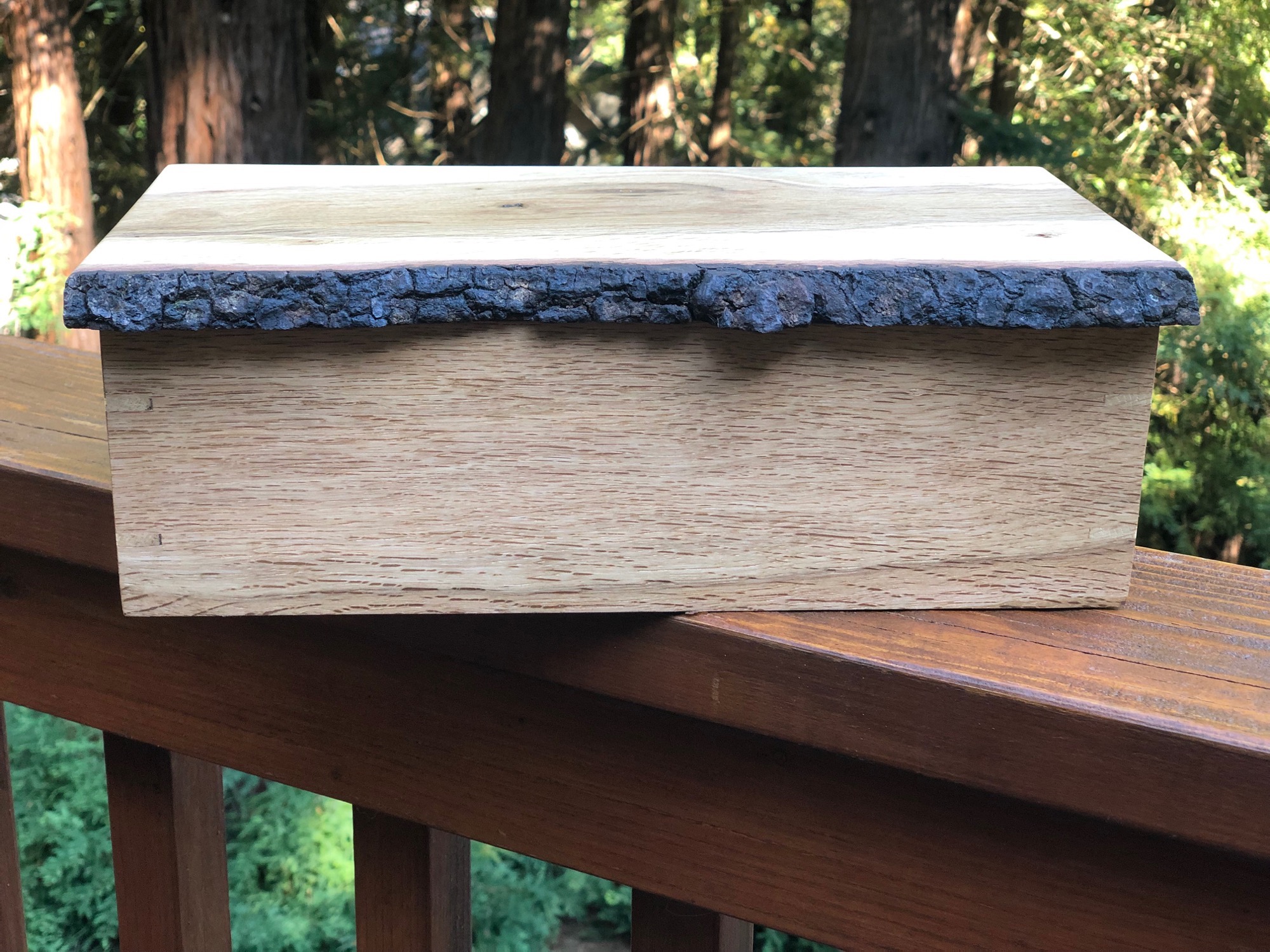 Live edge wood box front