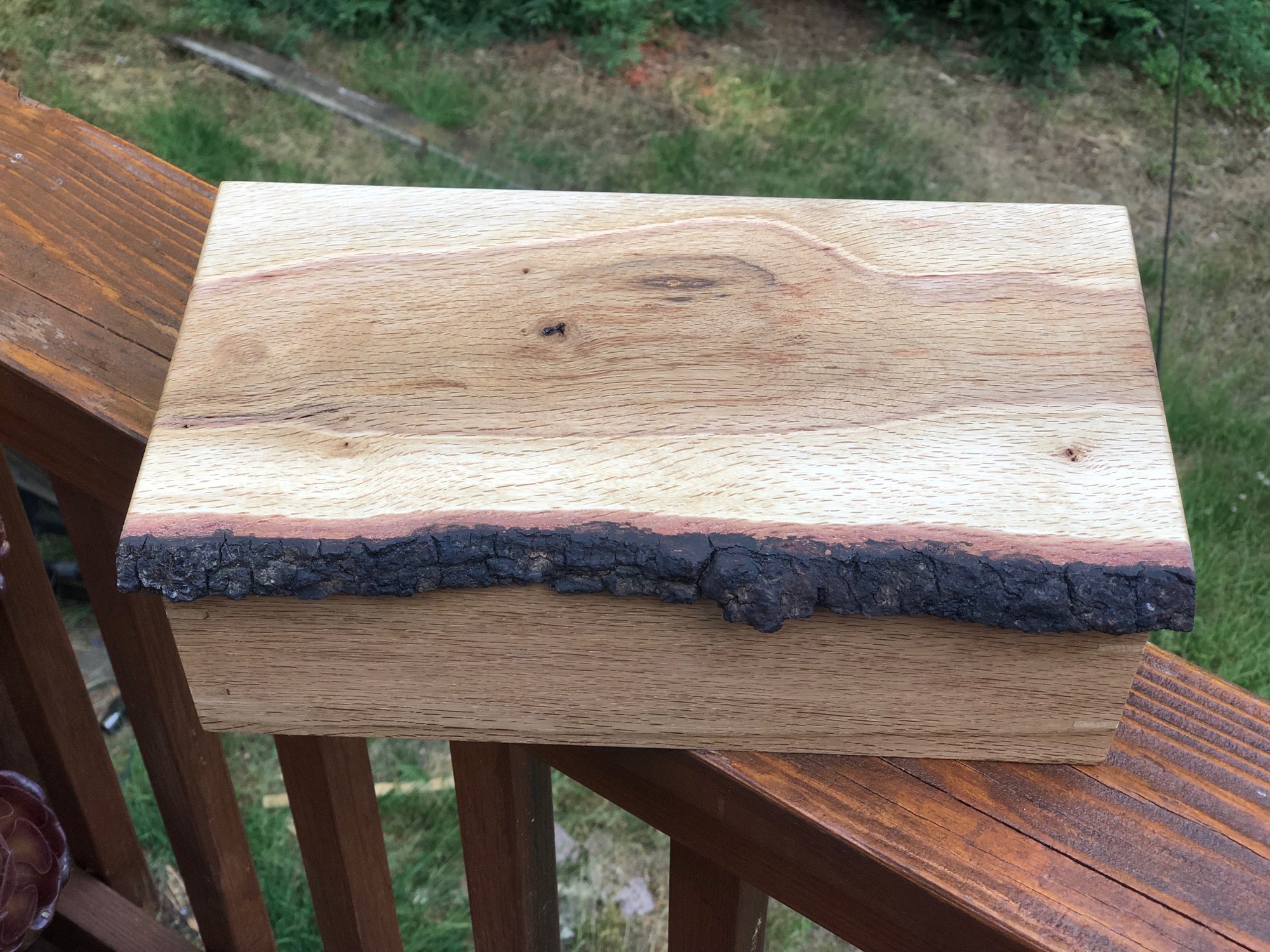 Live edge wood box from top