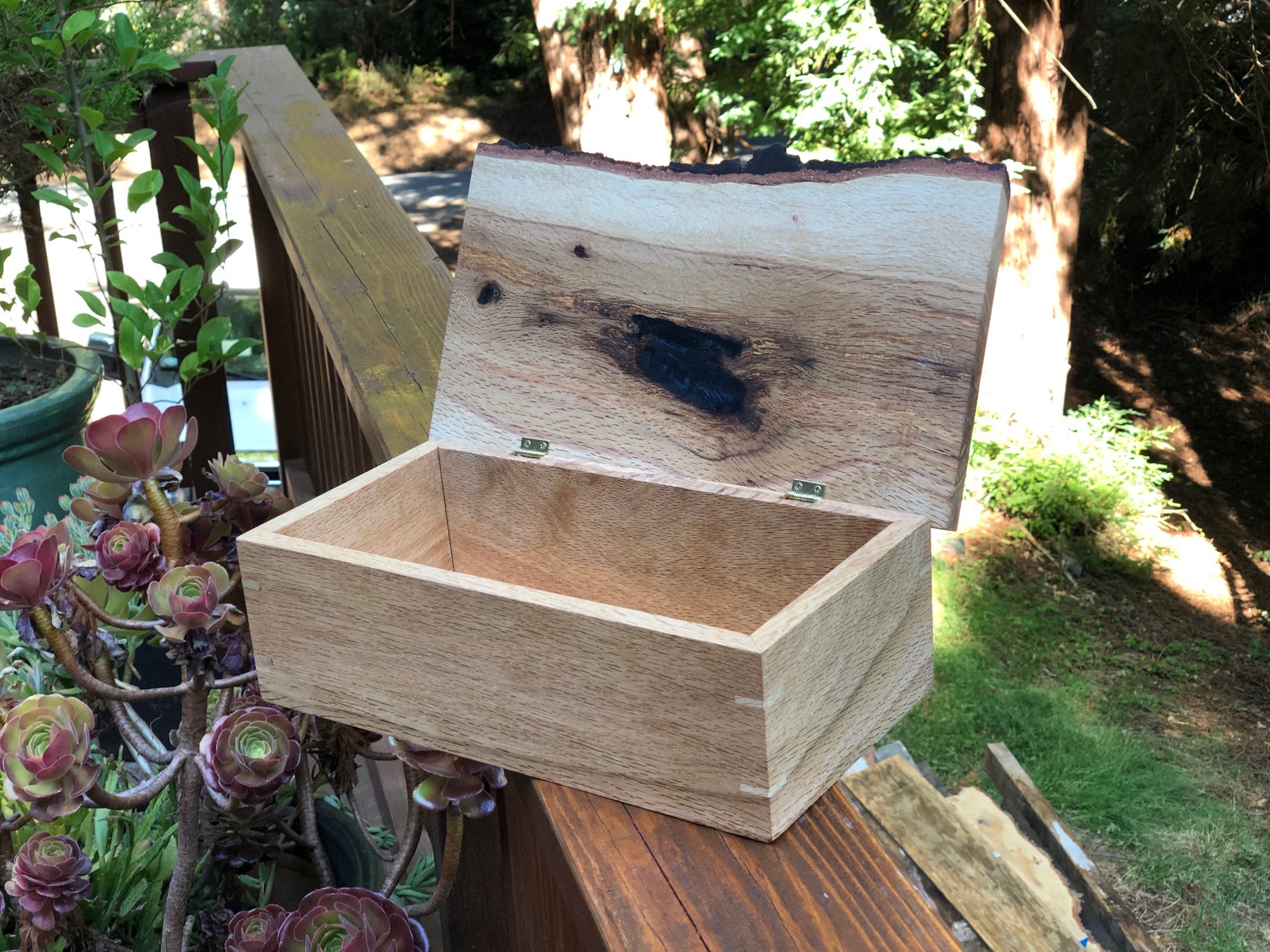 Live edge wood box top open right side woodworking