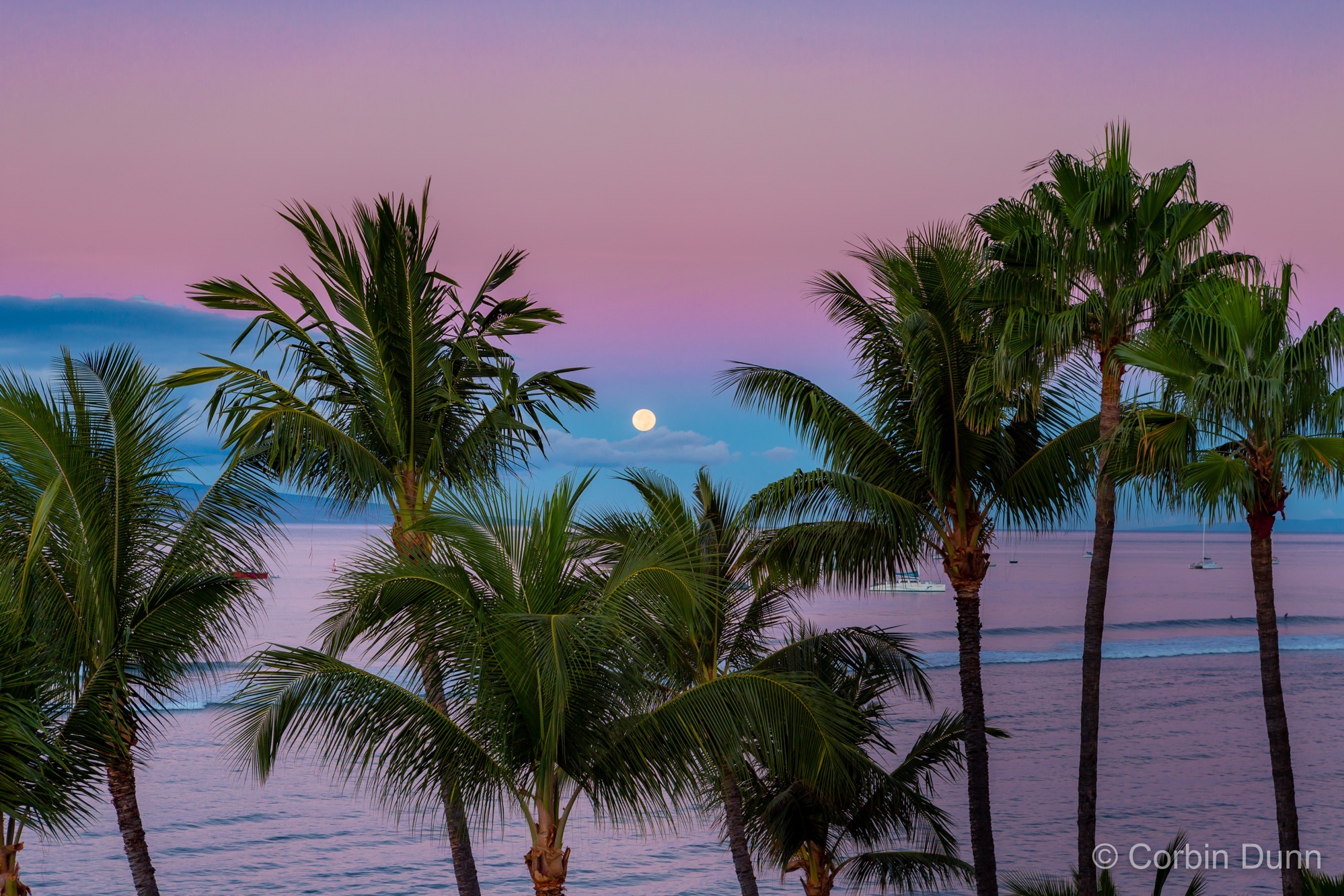 Maui Moon in the Blue  UW1A6199