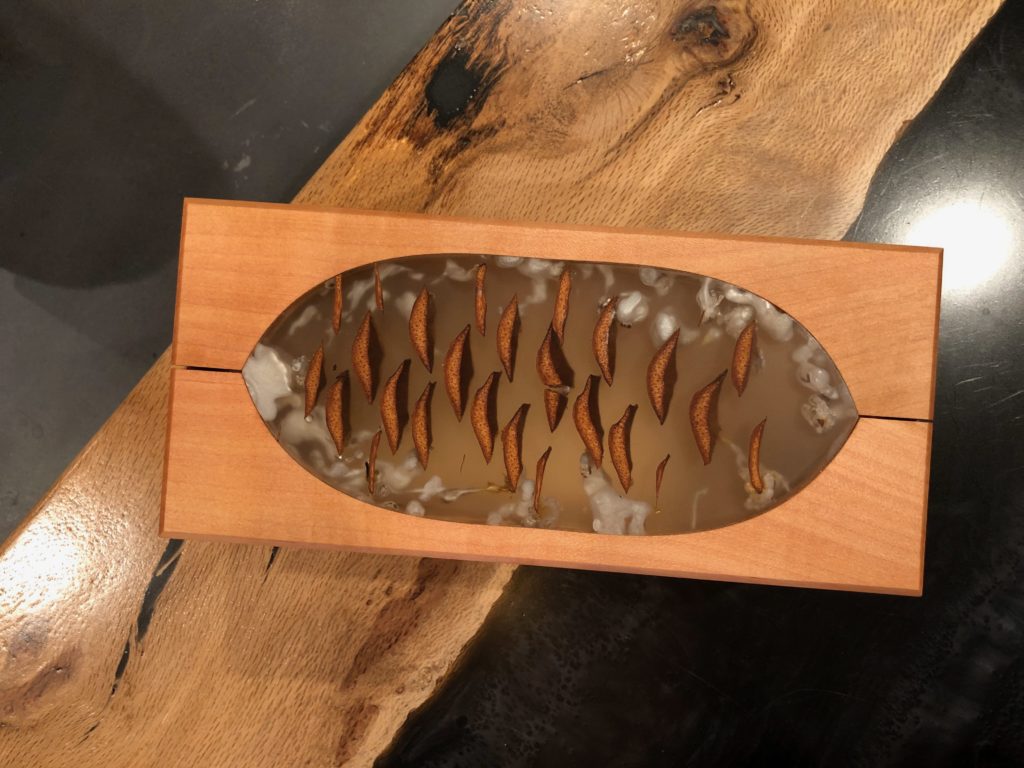 Pinecone box with epoxy