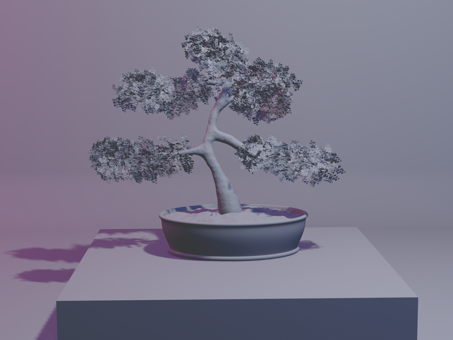 held der steine bonsai Bonsai