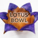 Lotus Bowl Image - CNC woodworking project